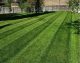 Platinum lawn care landscaping garden care lawncare lawn cares