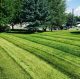 Platinum lawn care landscaping garden care lawncare lawncares