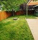 Platinum lawn care landscaping garden care lawns